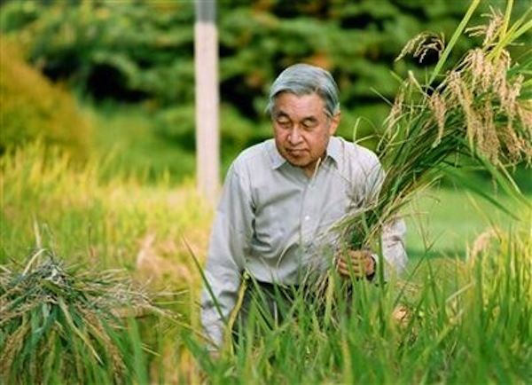 Nii.3.jpg
