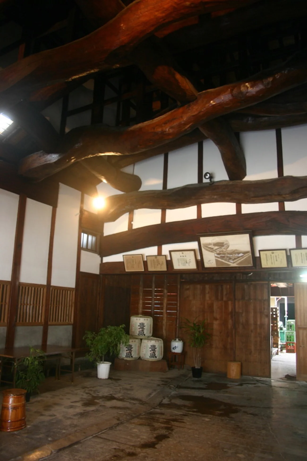 Toyomura IMG_1946.jpg
