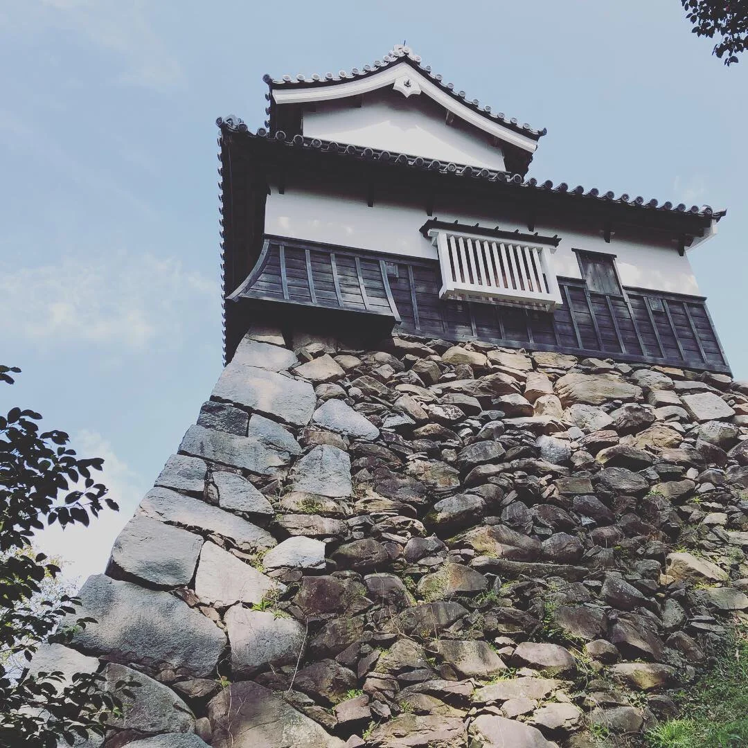 Fukuoka Castles.C30.jpg