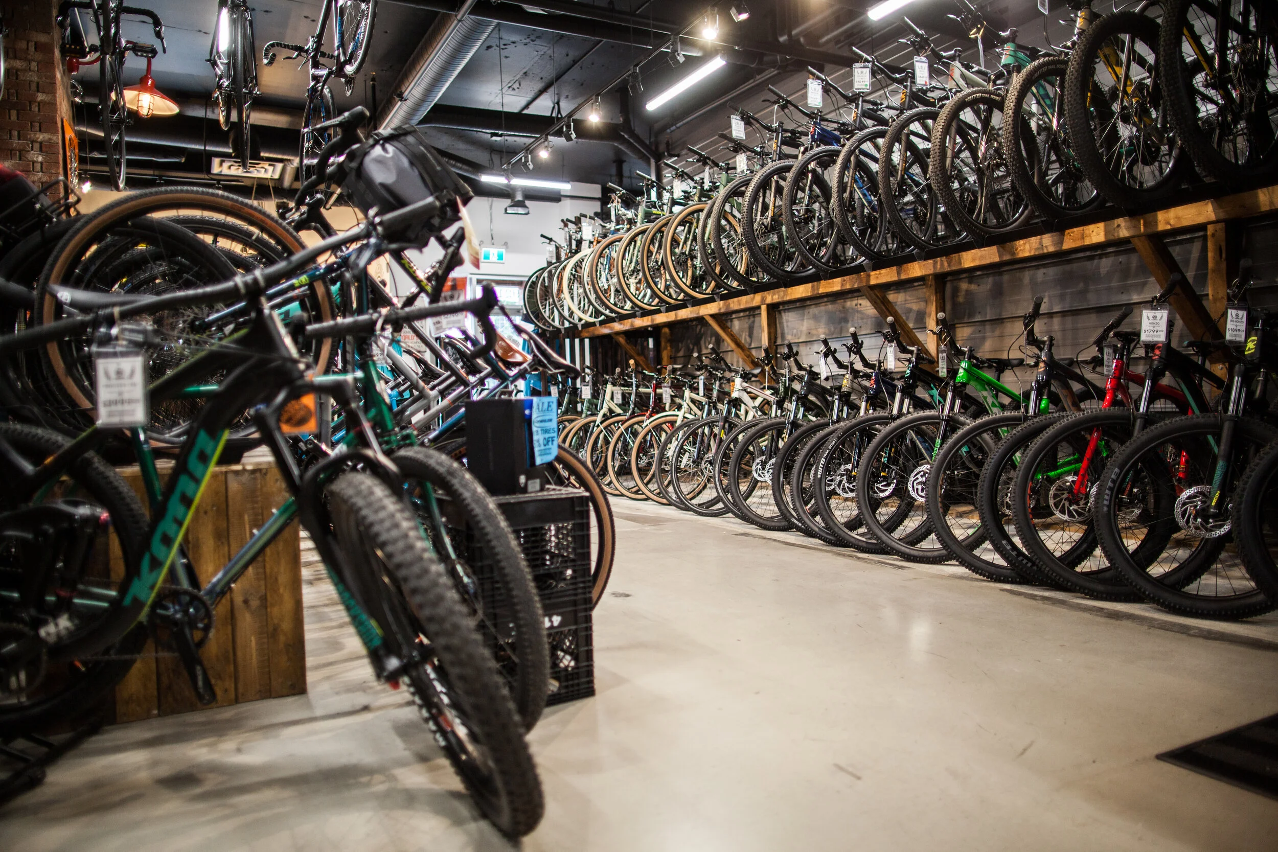 gobikeandbrew