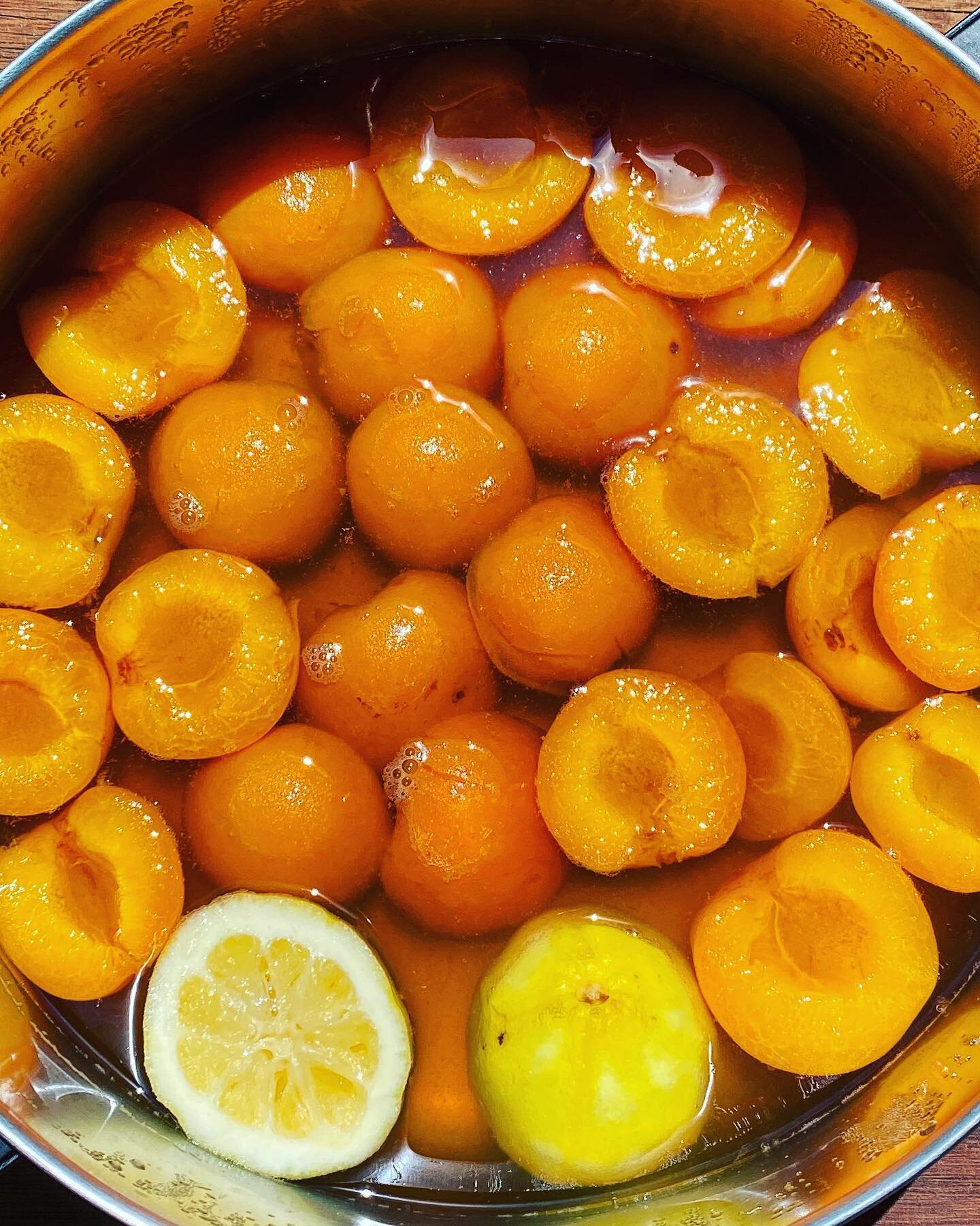 Sunshiny, juicy, jammy, nectary poached apricots 🧡