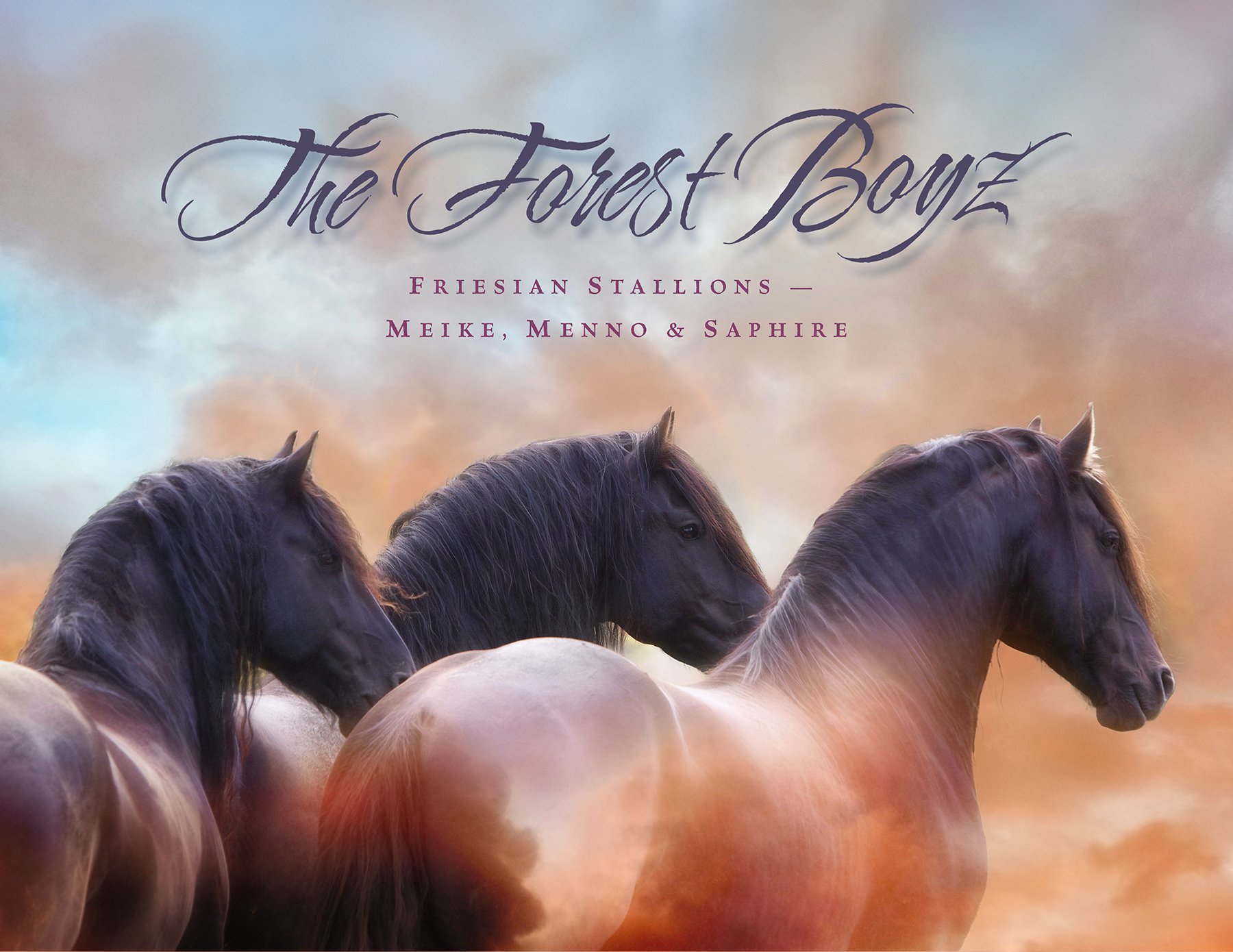 Always &amp; Forever