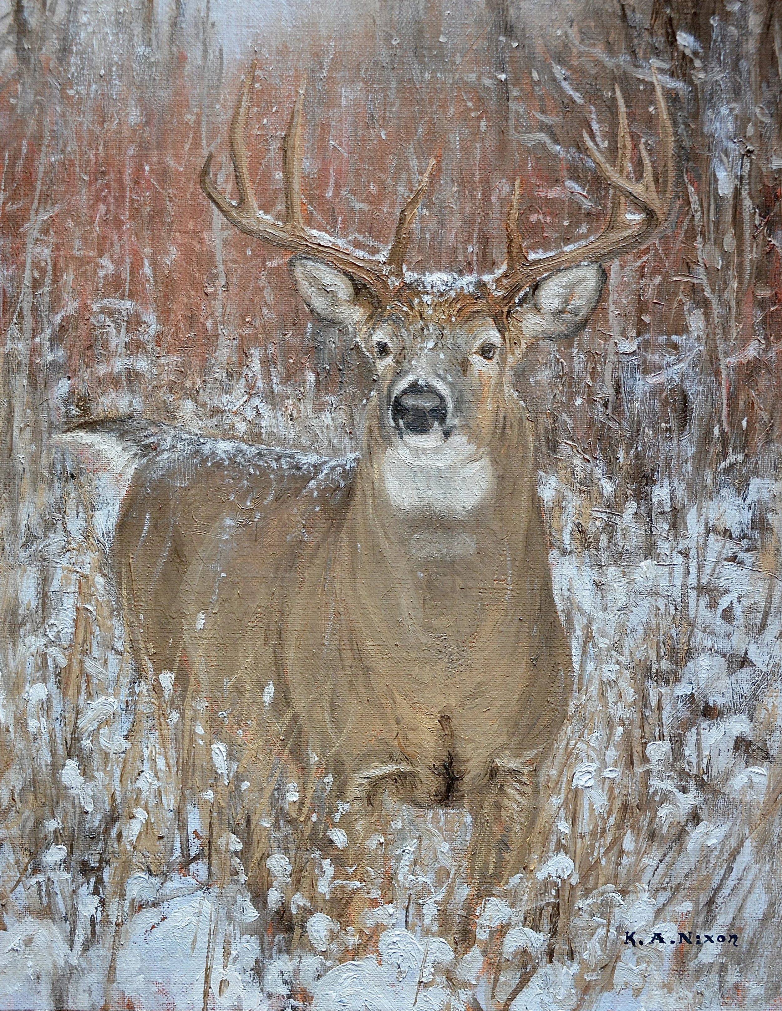 Dogwood Hues and Whitetail - 14 x 11 Oil $1,200.00USD