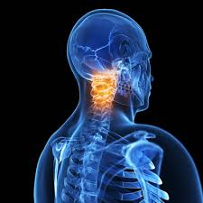 neck3.jpeg