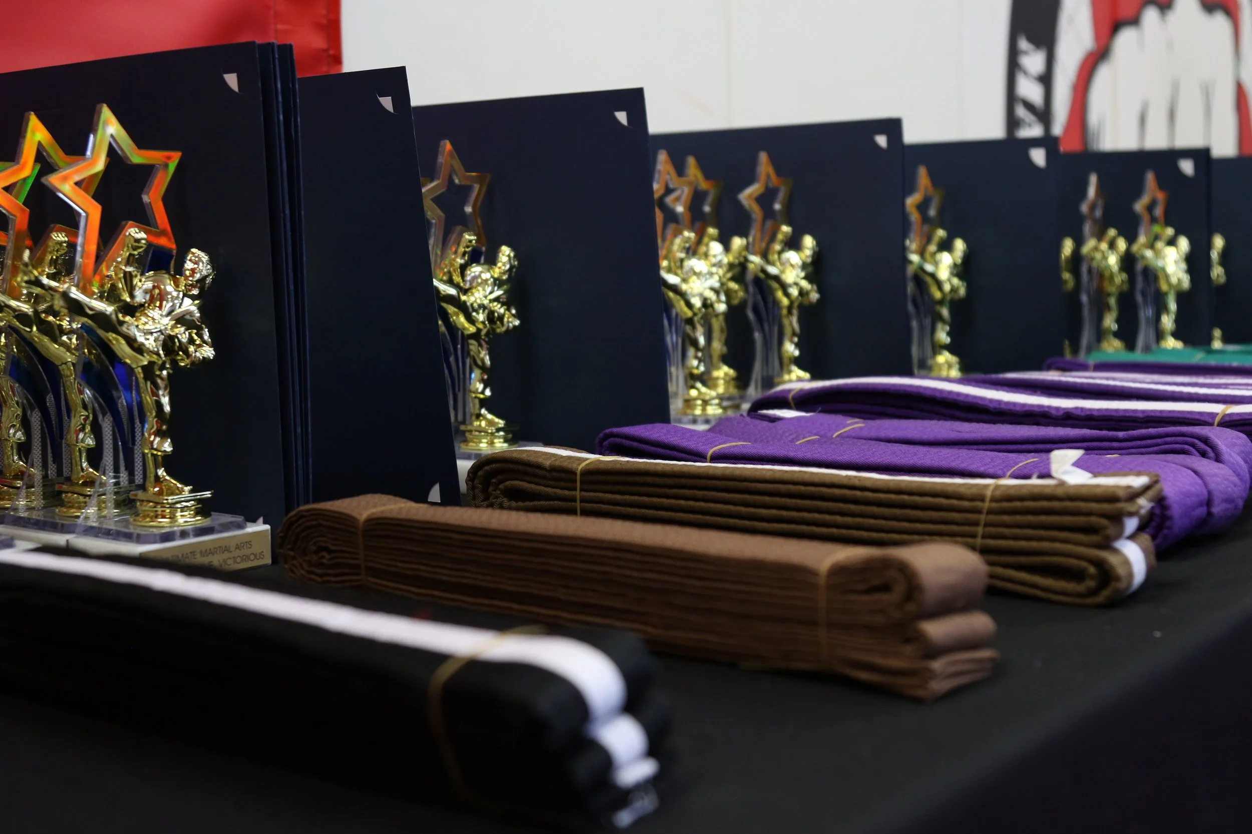 Belts and Trophies.JPG