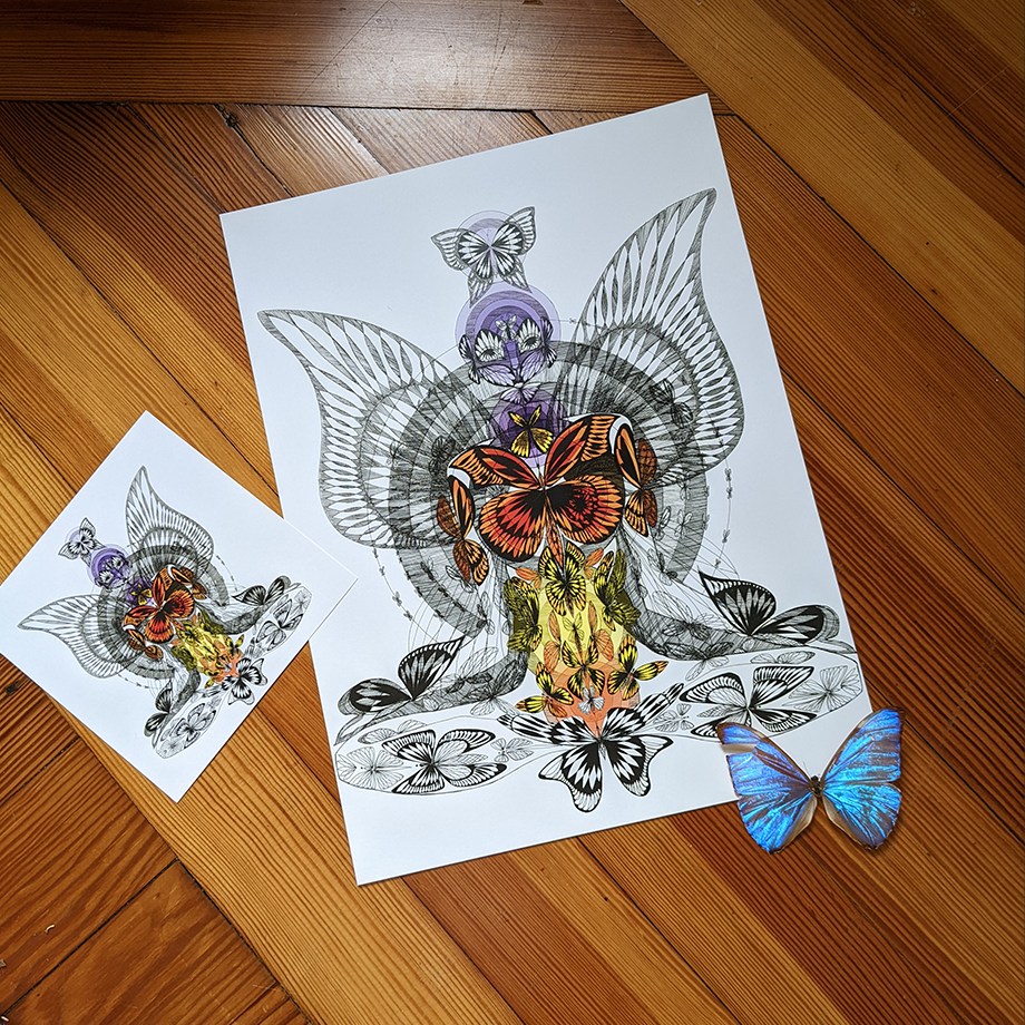 Size Butterfly B 8x8.png