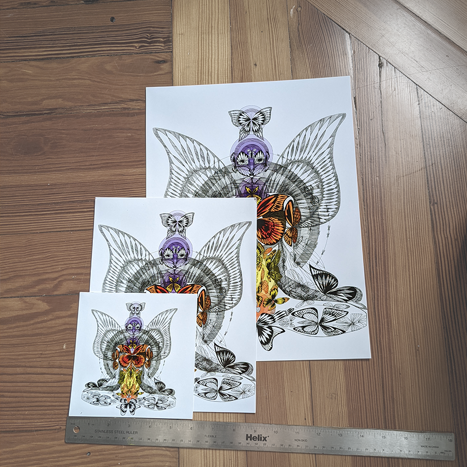 Size Butterfly C 8x8.png