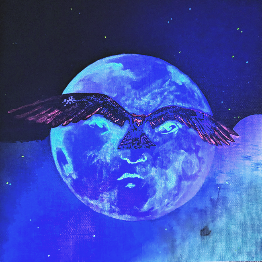 3D HAwk A 8x8 copy.png