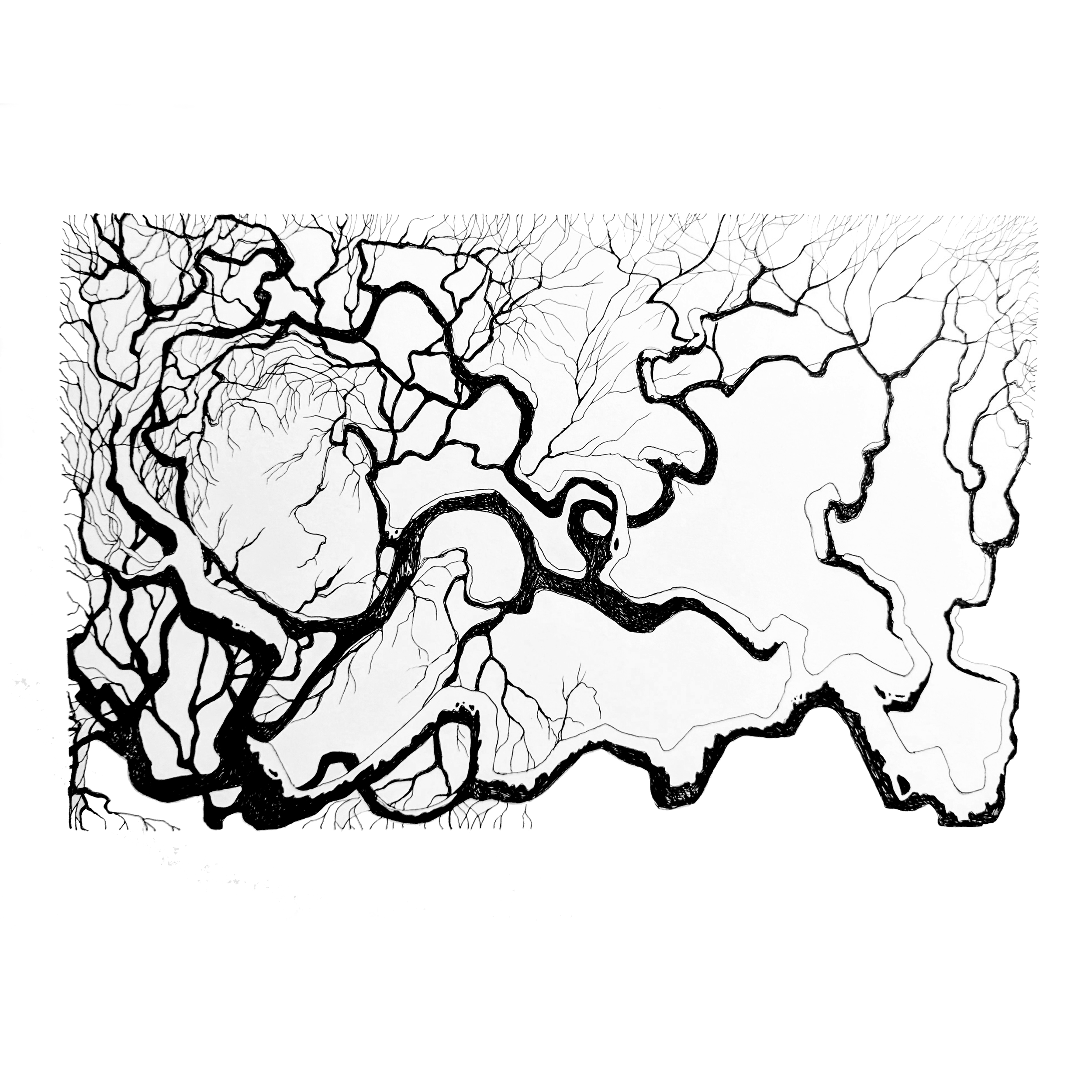 2025 Sleepy Winter.png