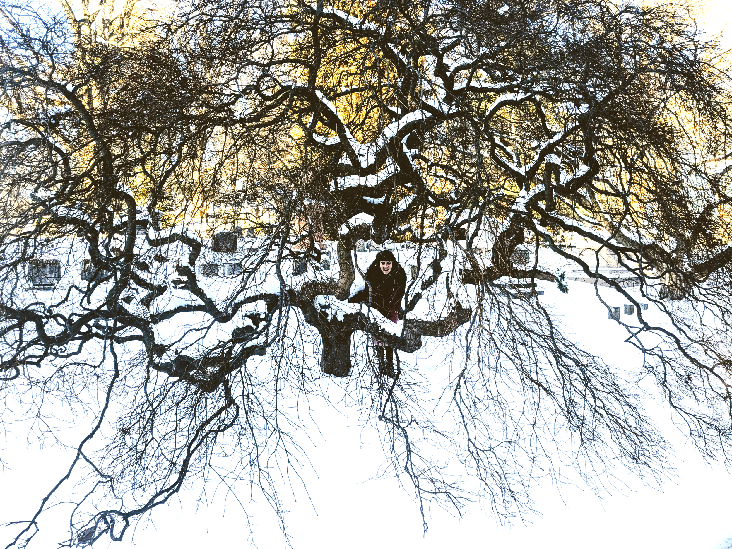 2025 Sleepy Winter3.png