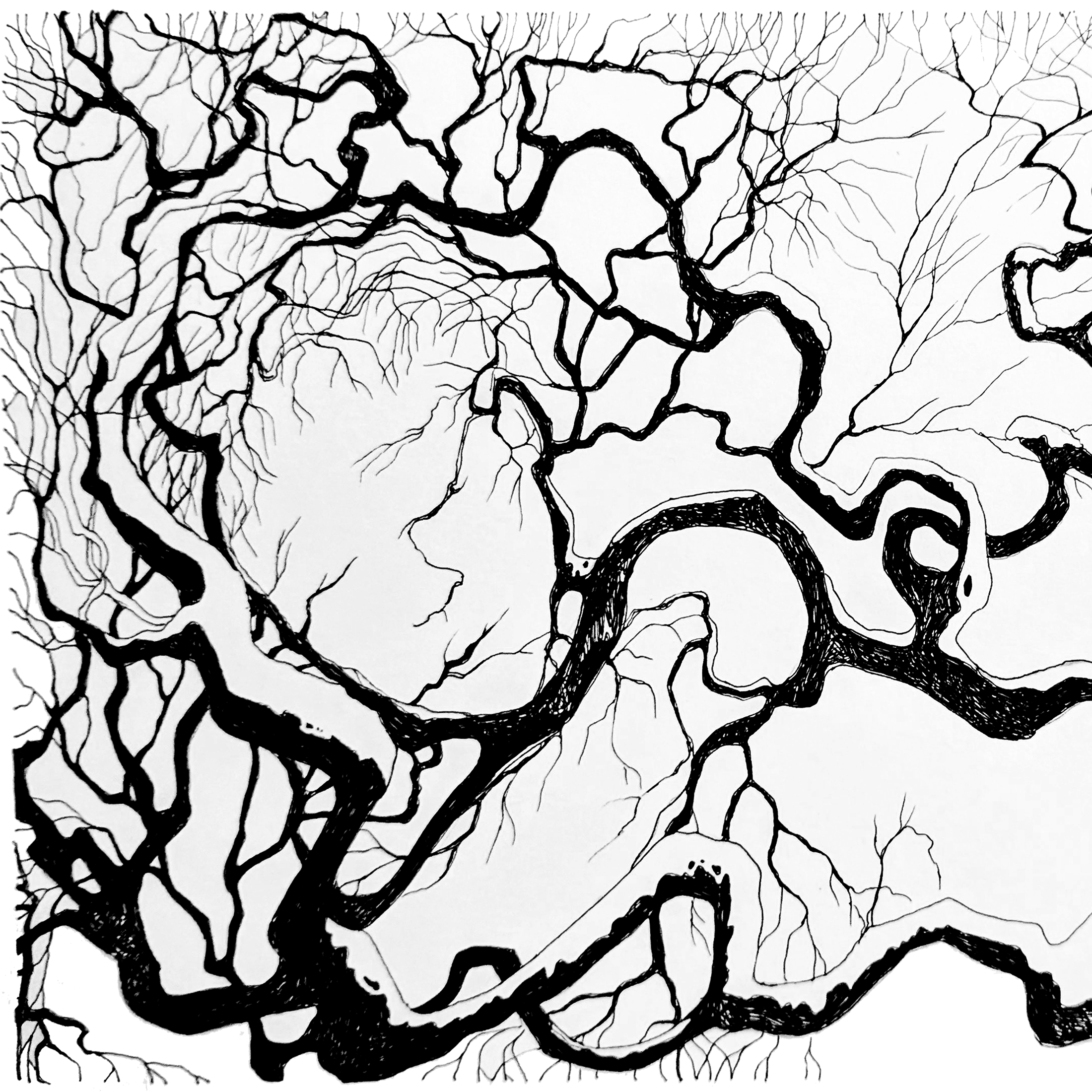 2025 Sleepy Winter2.png