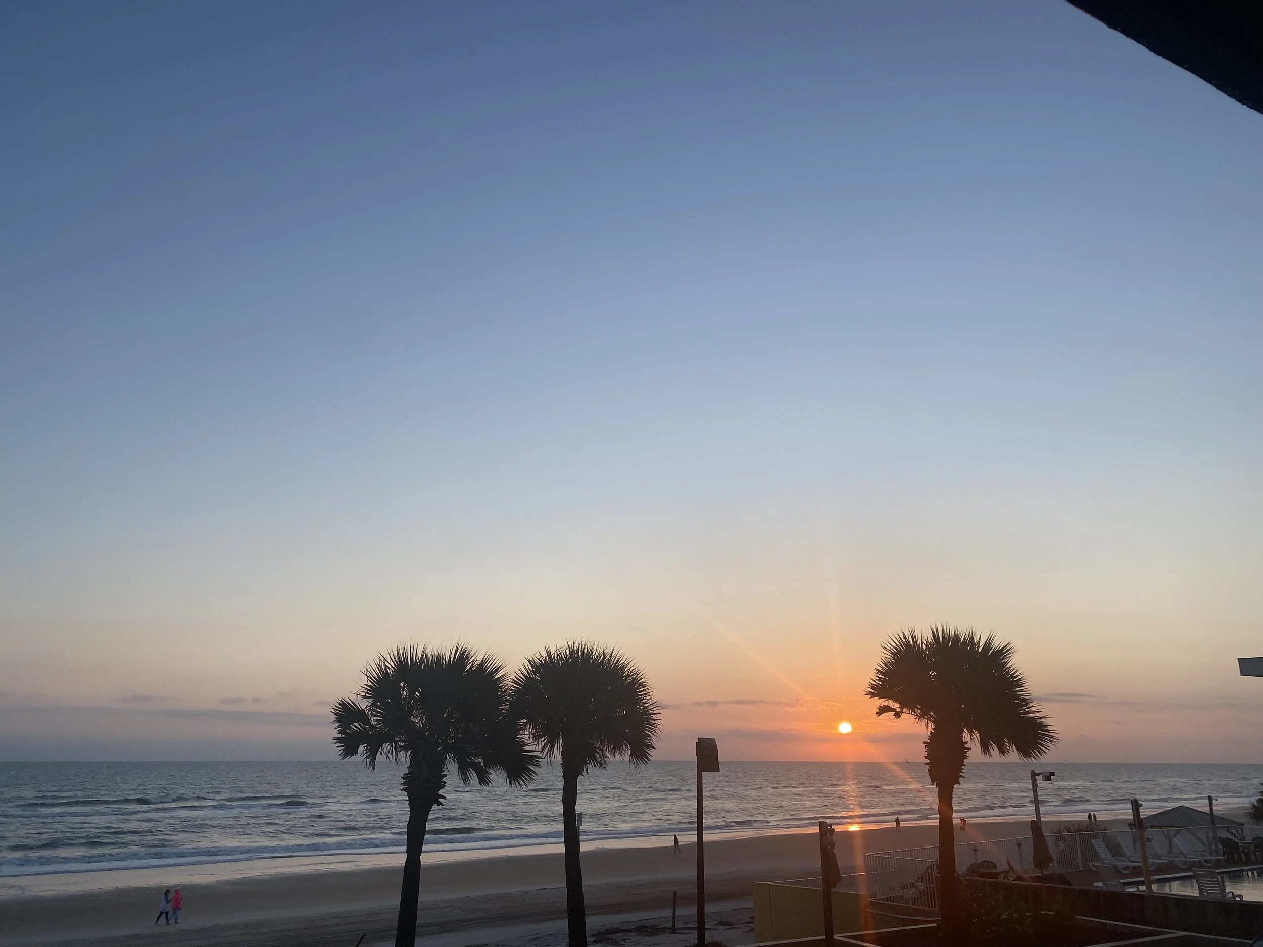 Reflections from Naples, Florida