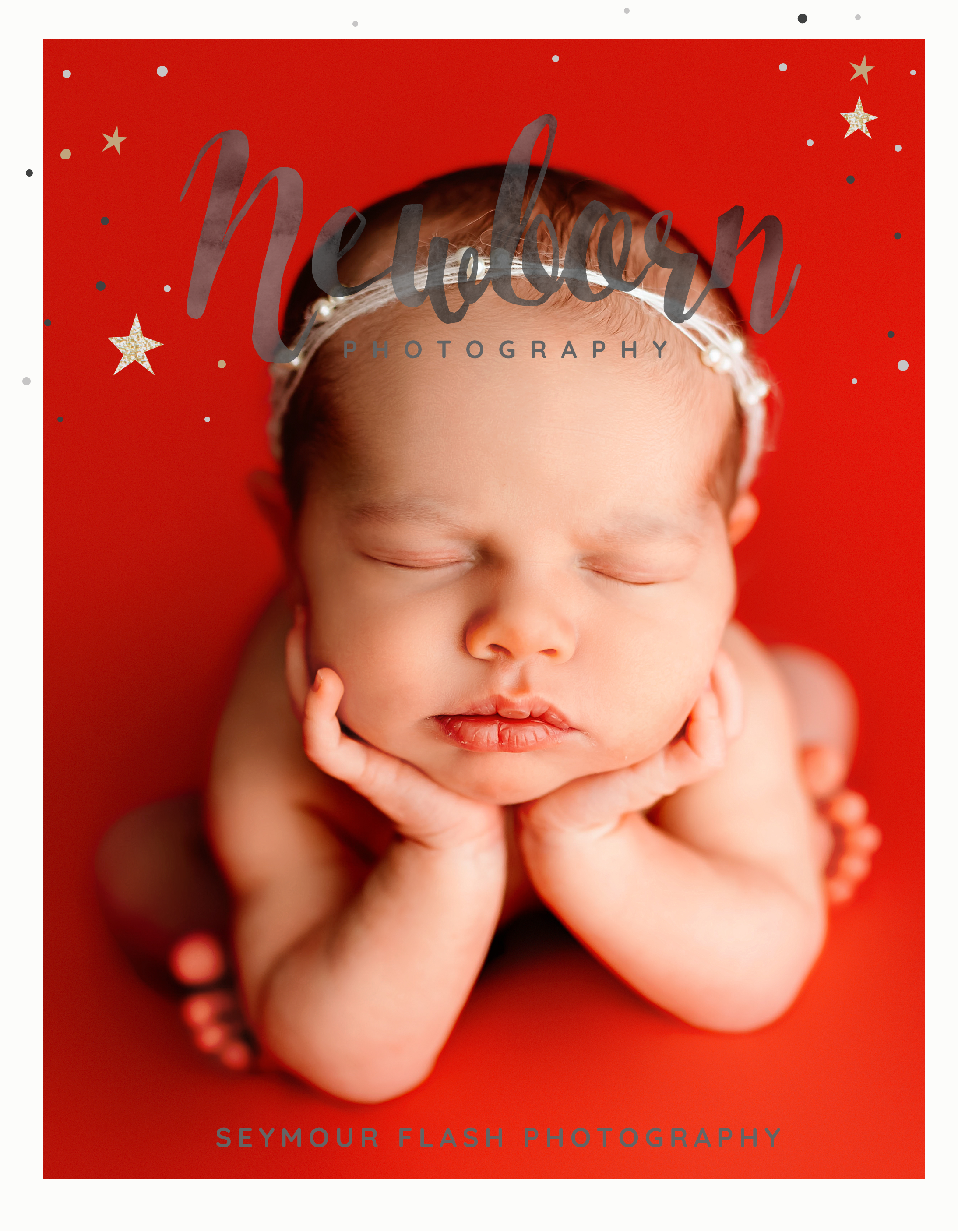 PG016 Page 0 Front Cover by Paper Lark 2.png