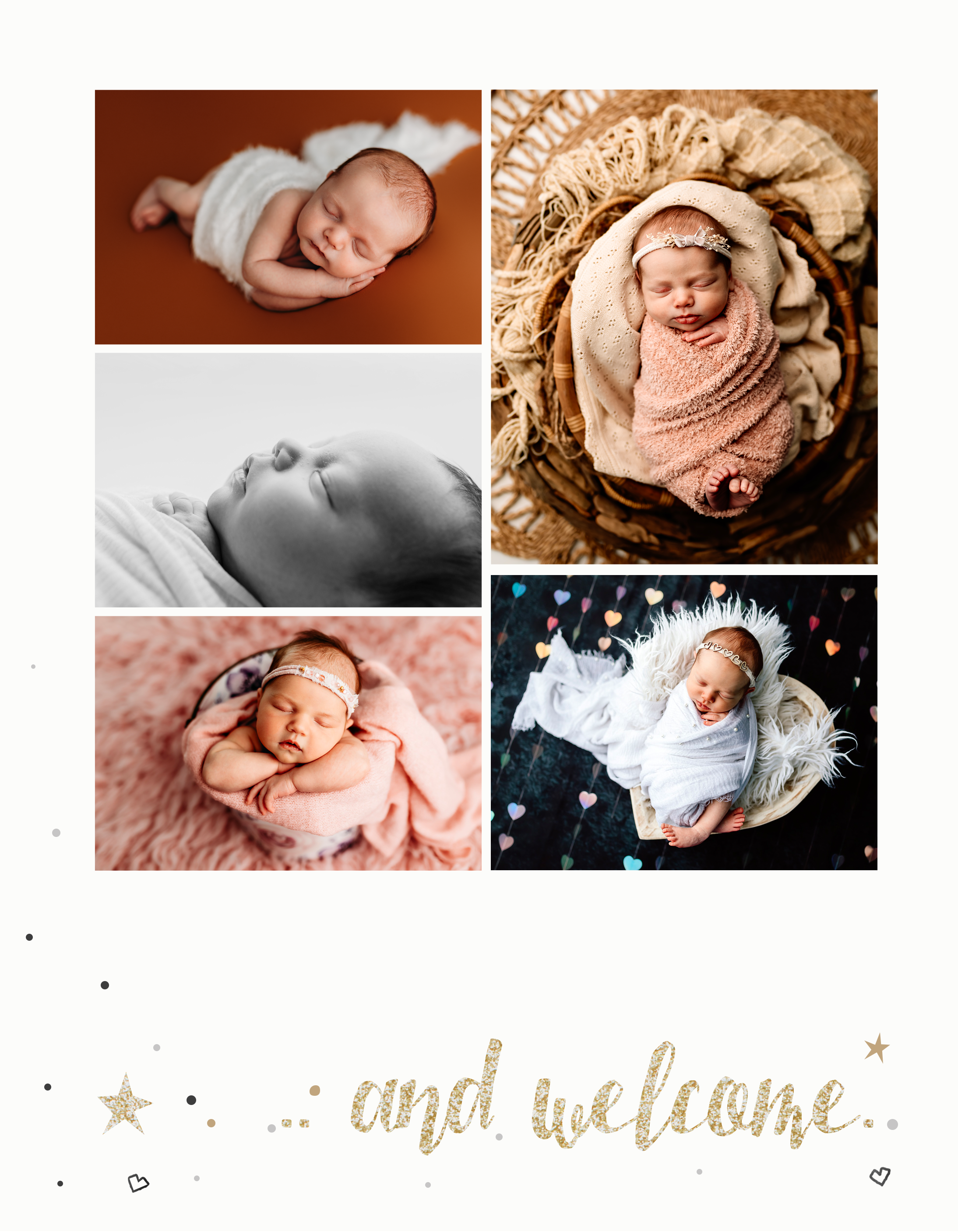 PG016 Page 2 Inside Cover Right by Paper Lark.png