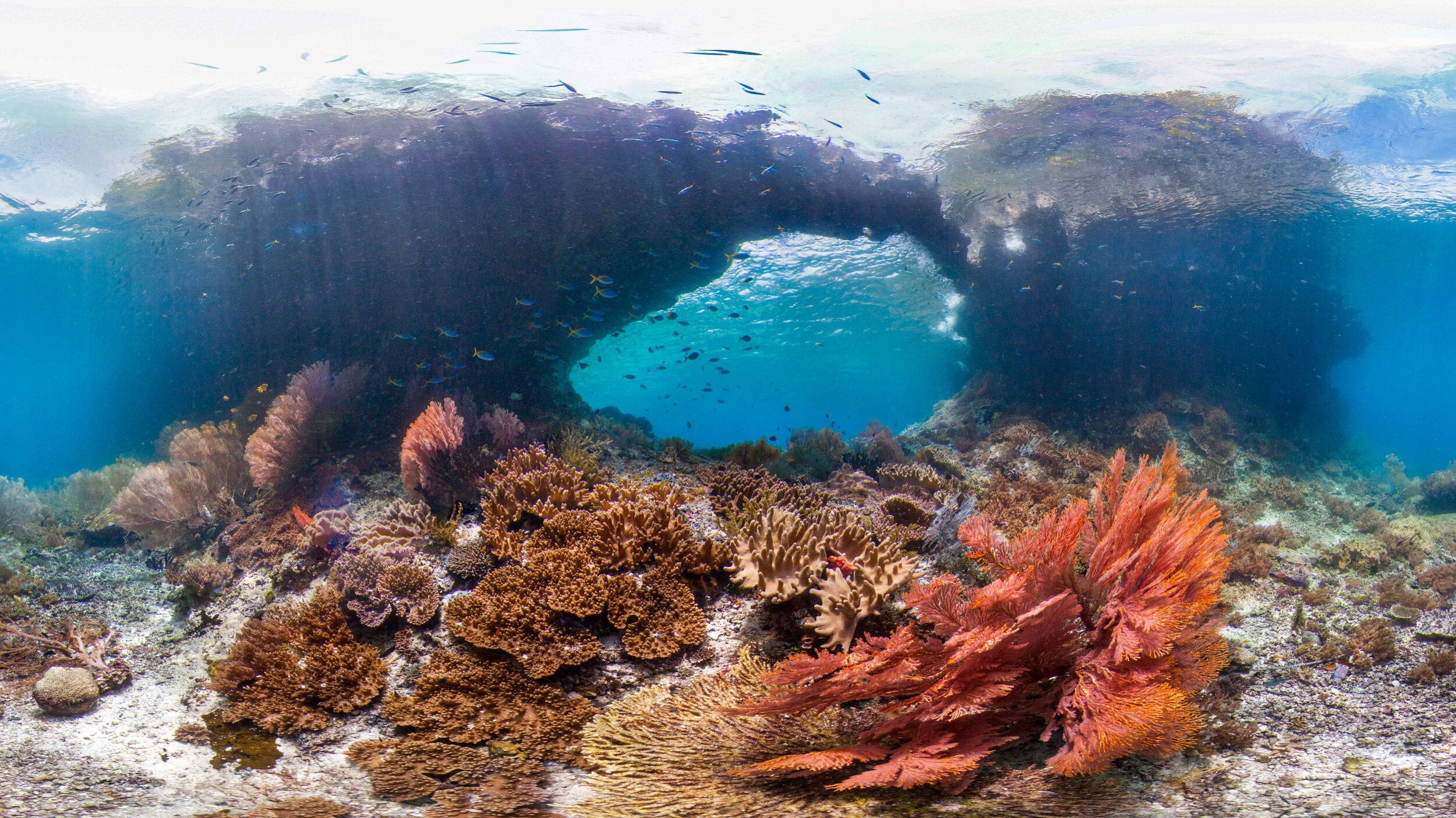 For web_Cropped_Raja Ampat_Batu Rufus.jpg