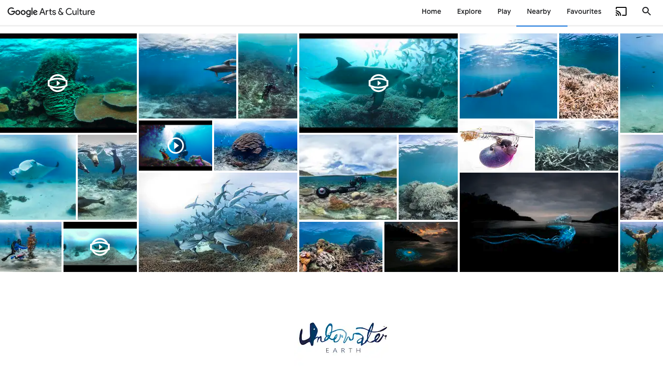 Underwater Earths Google Art and Culture Collection 2.png