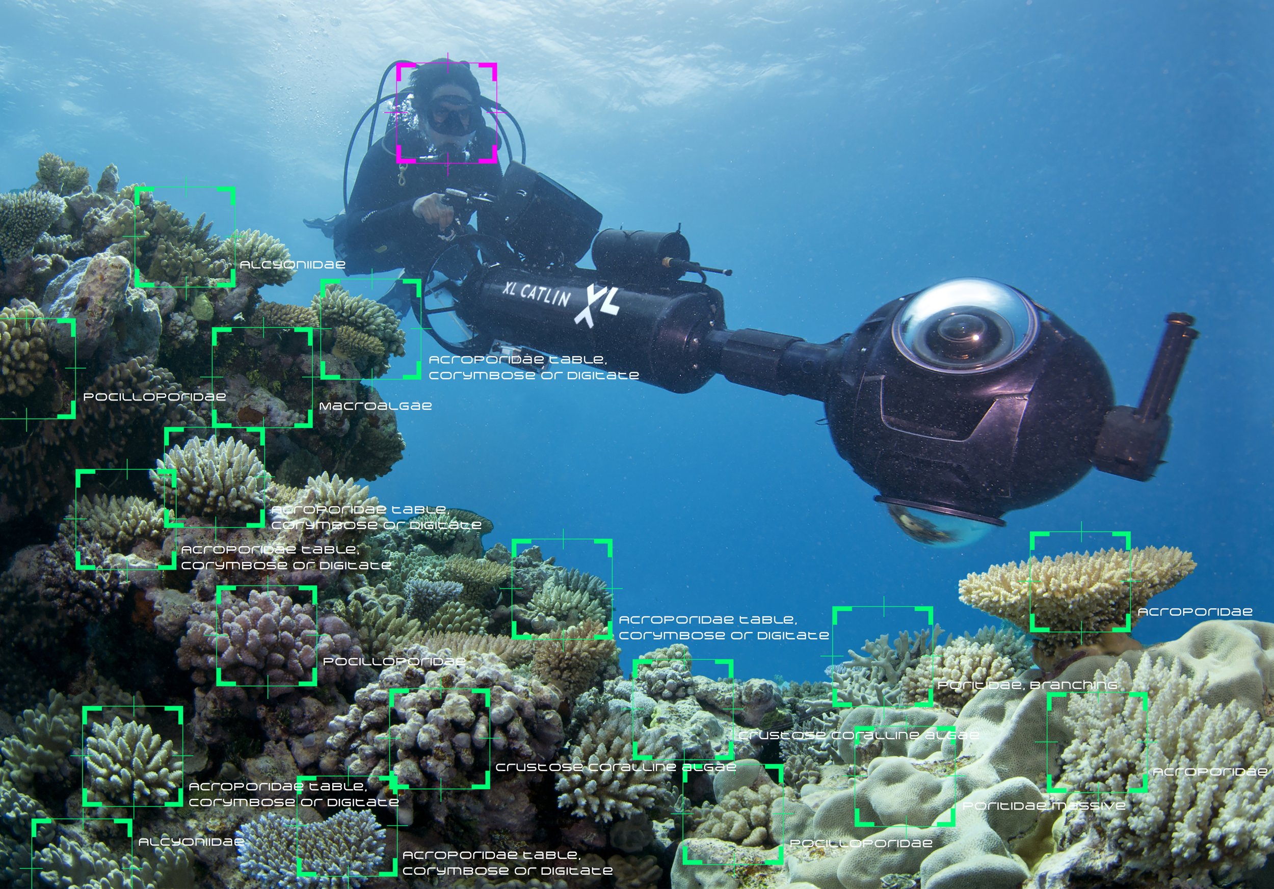 Image recognition_ scientist_surveying_SVII_camera_system - UnderwaterEarth:XLCatlinSeaviewSurvey.jpeg