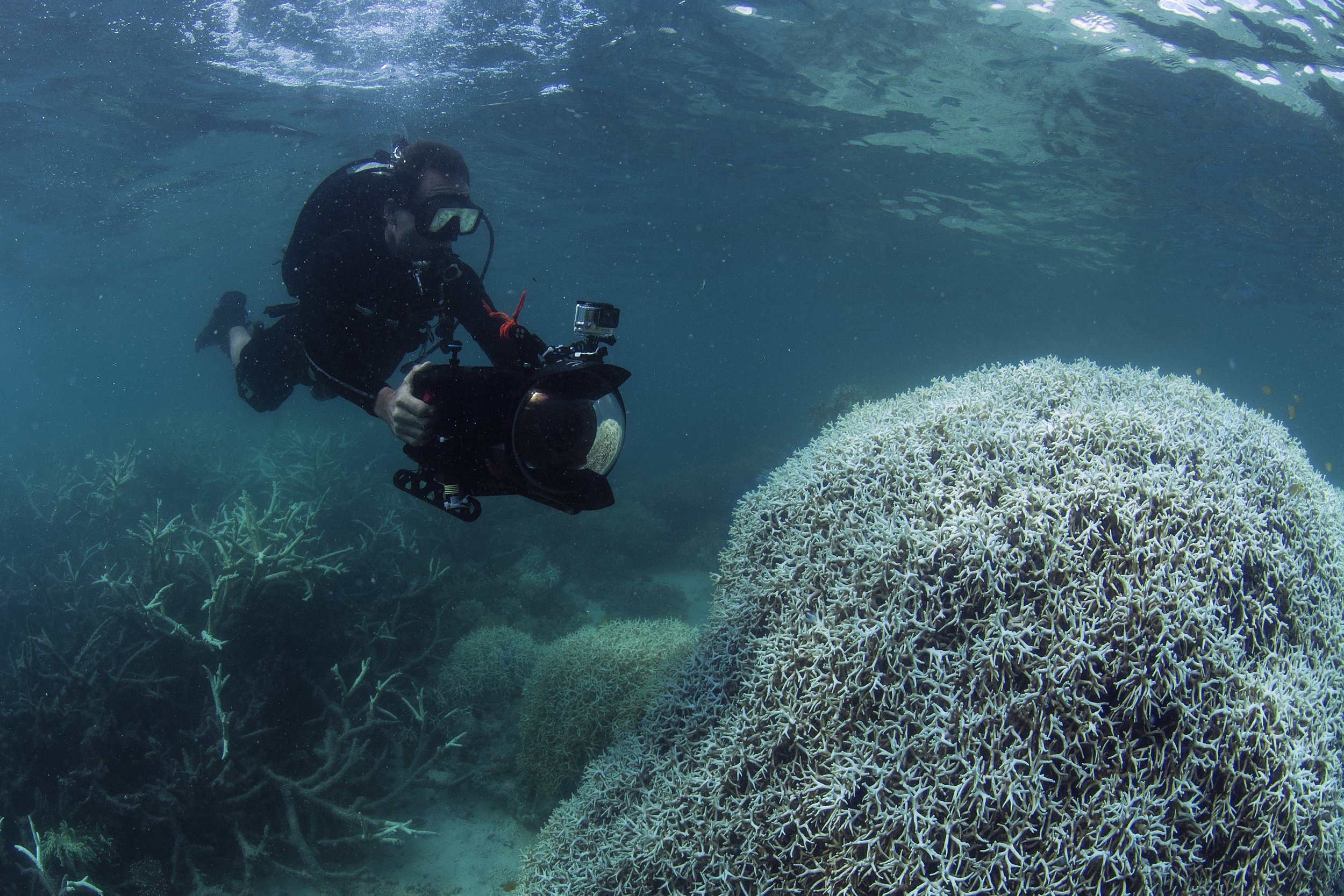 12 Filming the Coral Bleaching at Lizard Island.jpeg