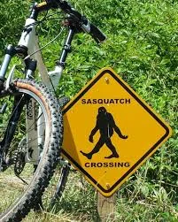 Biking in Hood River: Rides for Every Skill