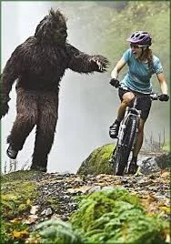 Mountain Biking, Yoga and Snuggles: A Unique Couples Retreat in Hood River this Fall