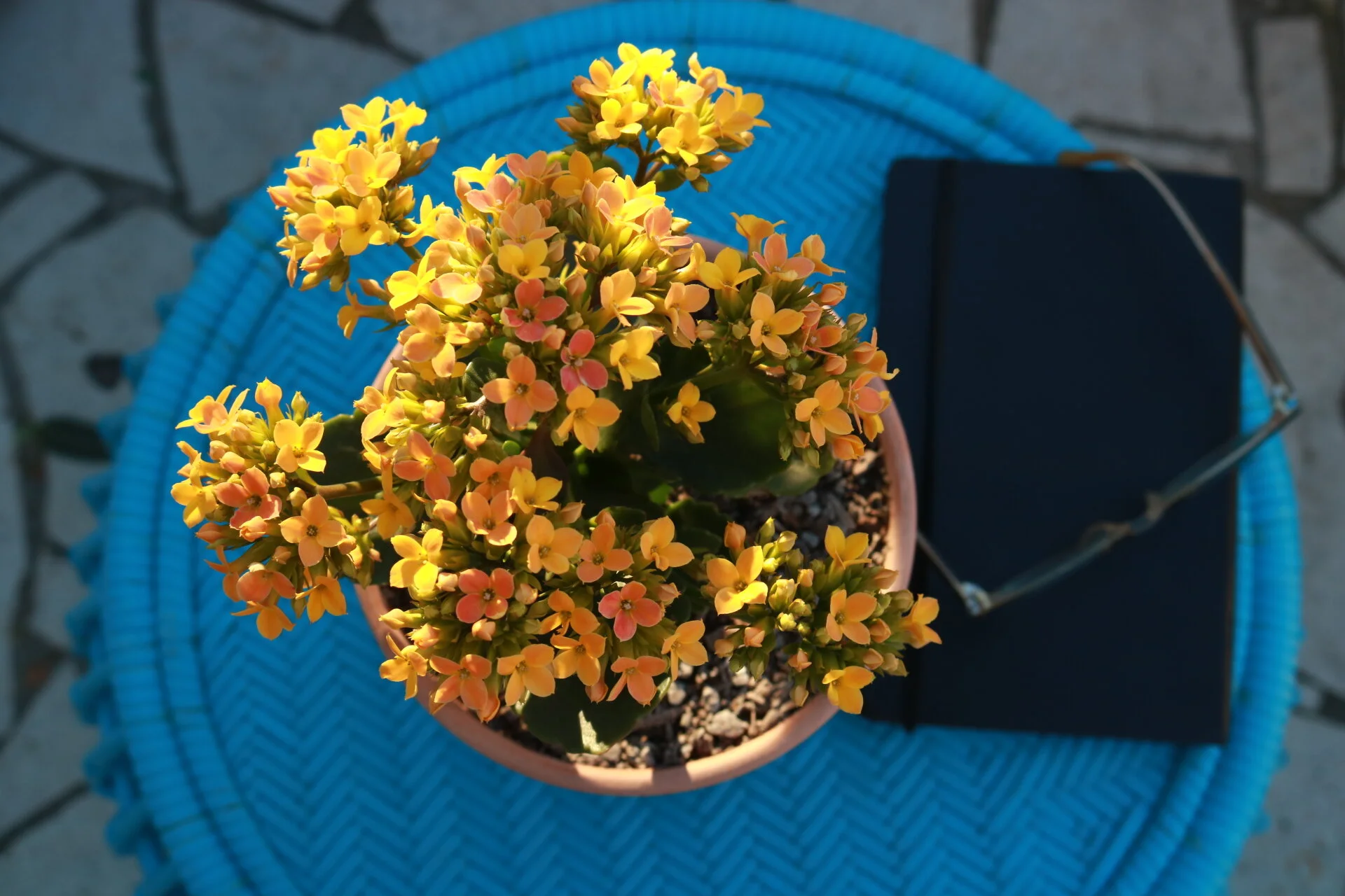 A new type of New Year Resolution