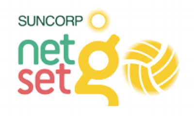 Image result for netsetgo logo