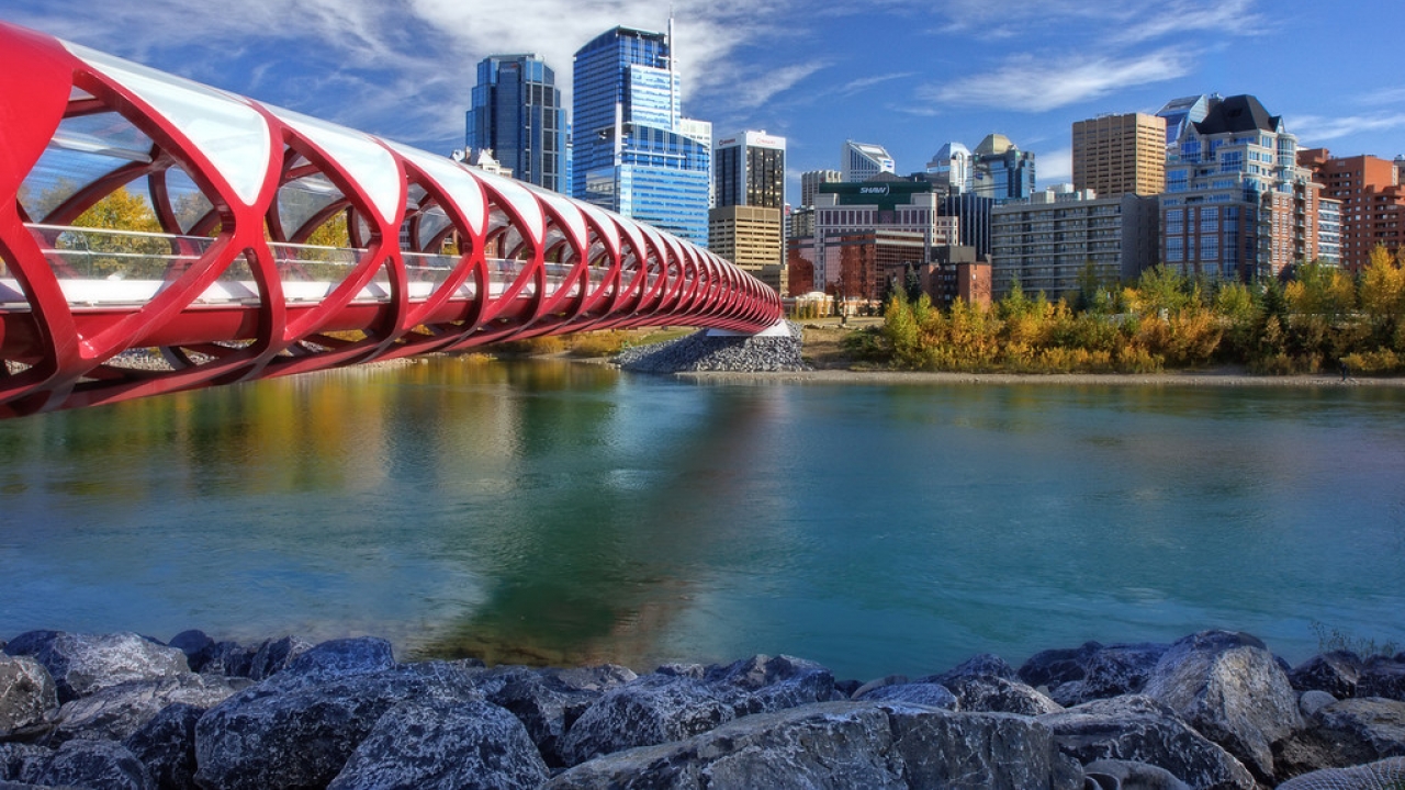 Love Letter to Calgary