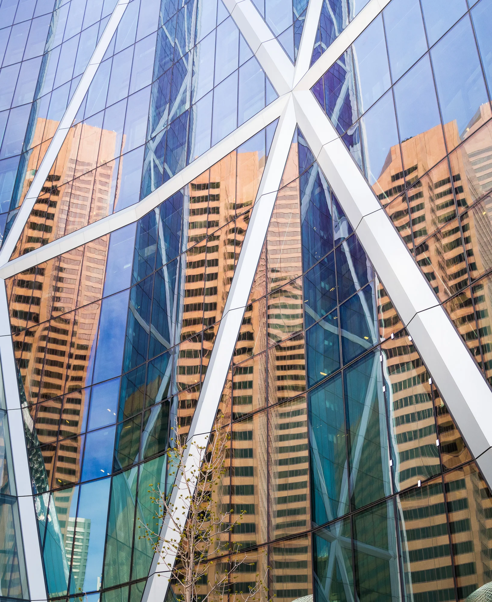 Launch of the Best of Calgary 2017 Survey