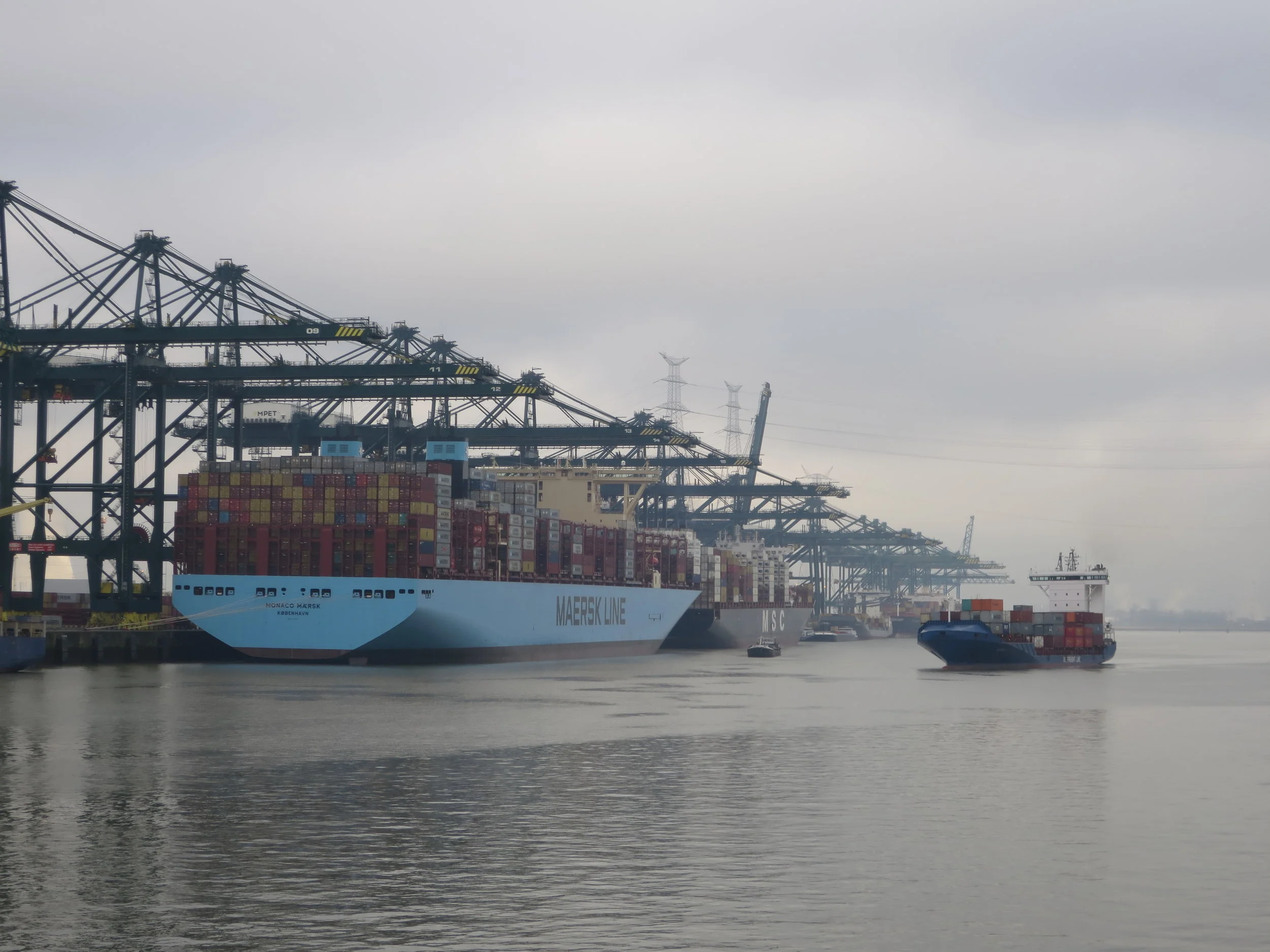 Douane wil alle containers in Antwerpse haven screenen