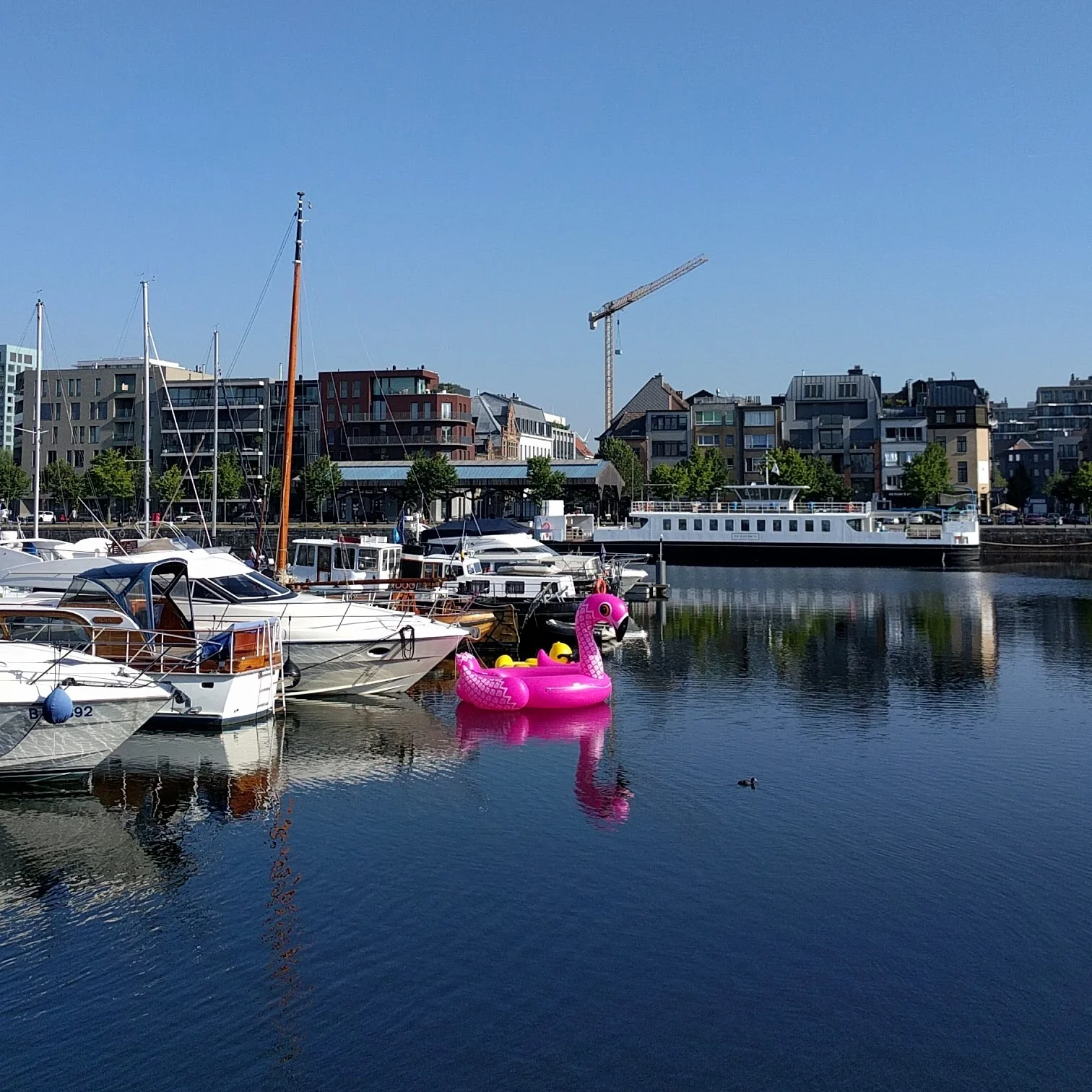 IMG_20180723_092103.jpg