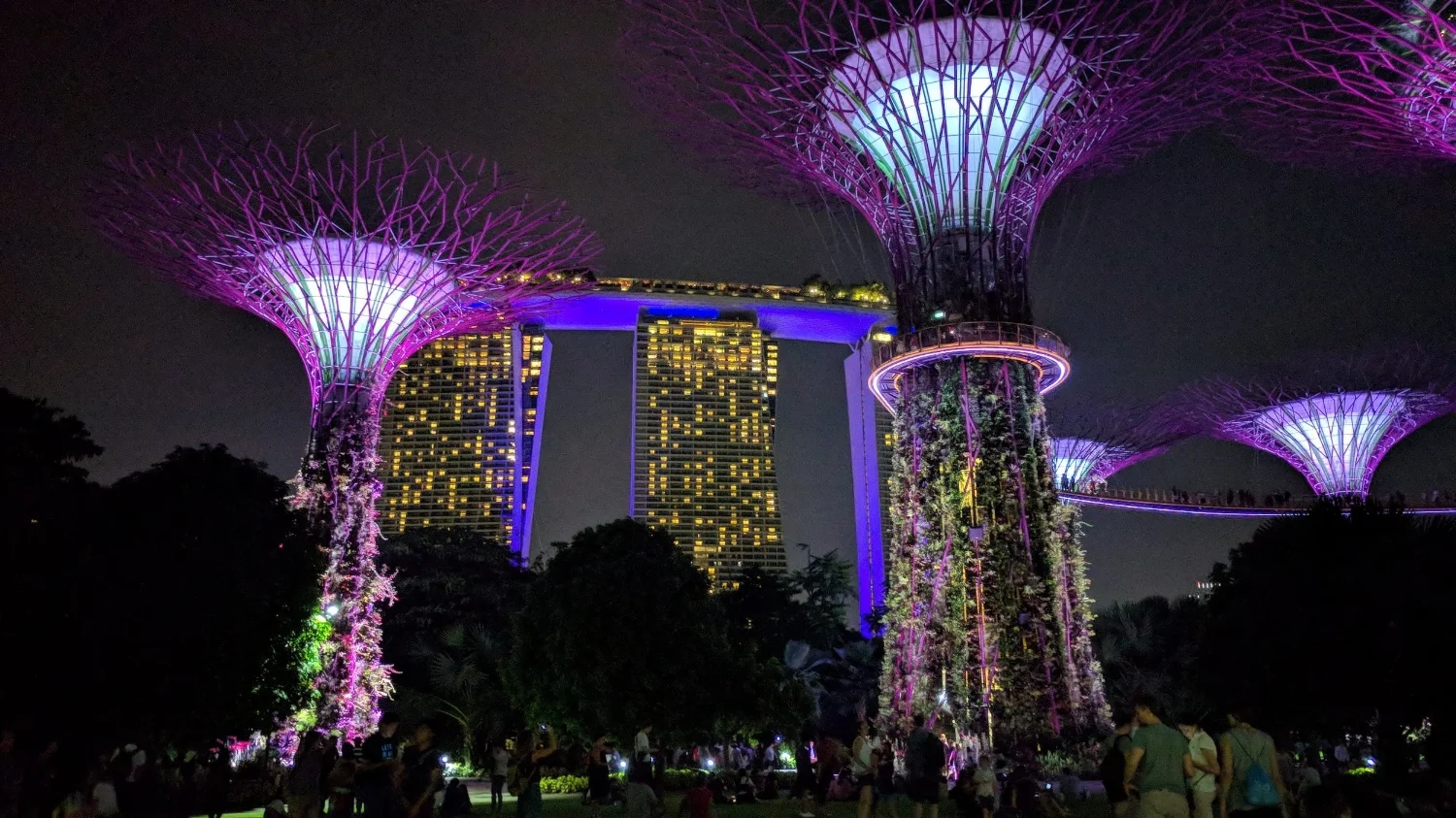 Singapore by night hotel.jpg