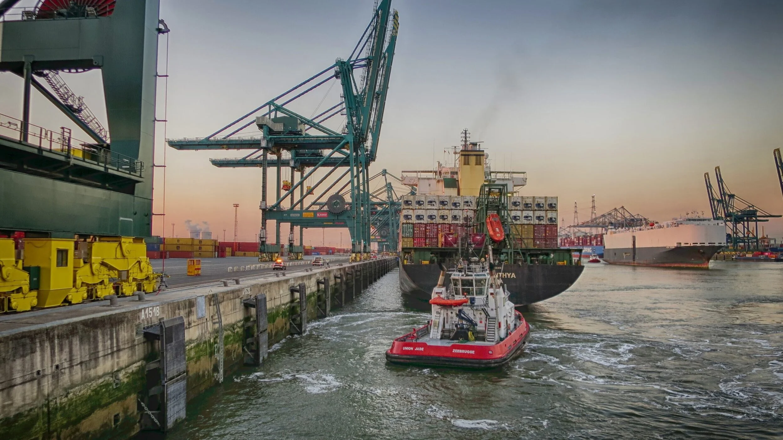 Van Moer and Molenbergnatie using SCR API solution automated by Go4Logistics