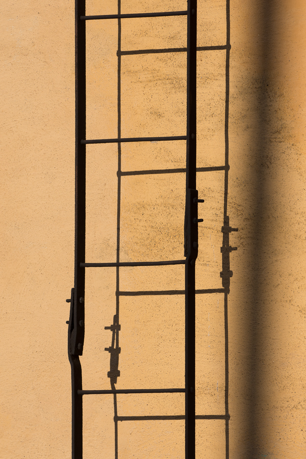 JS2_2584.jpg
