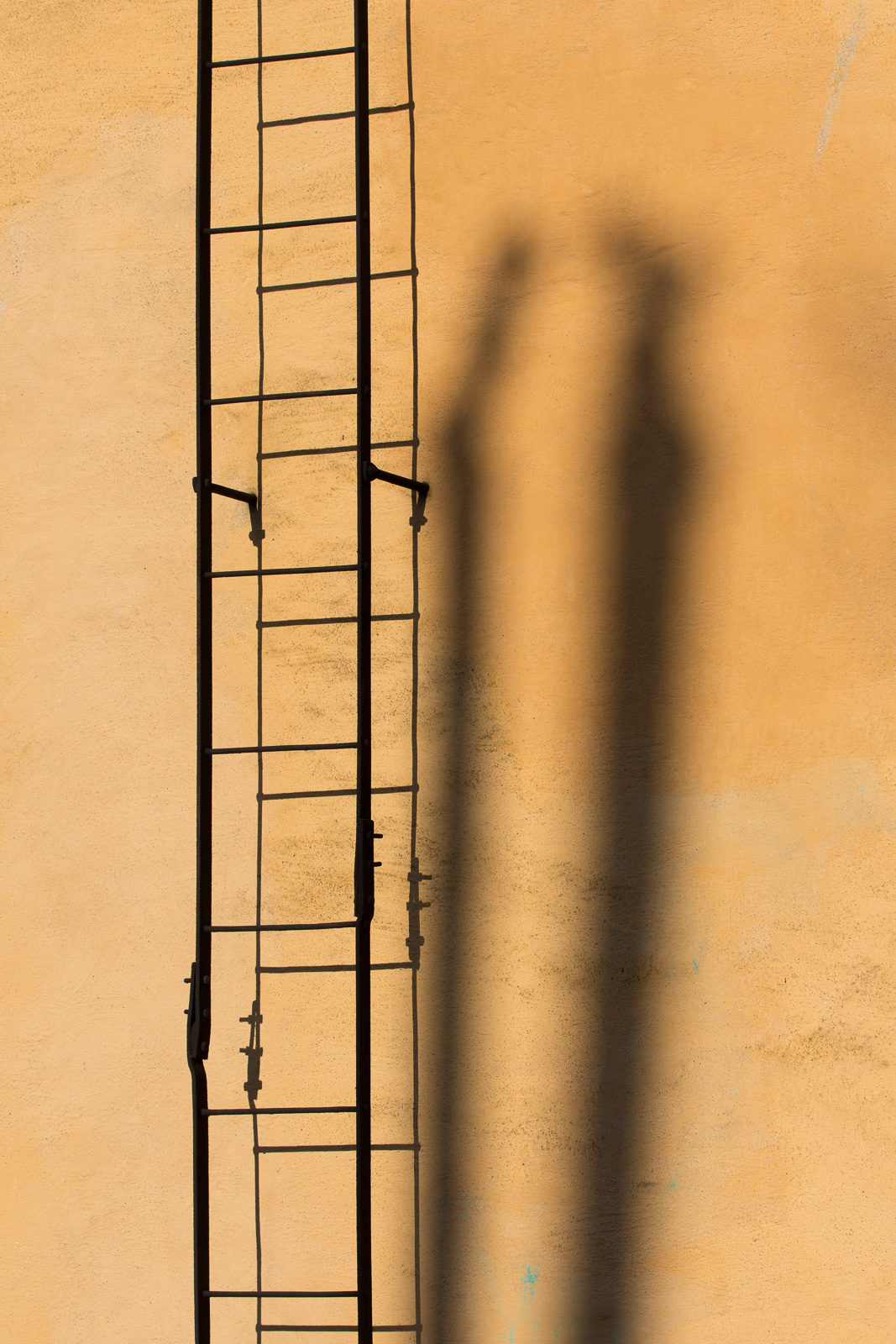 JS2_2583.jpg