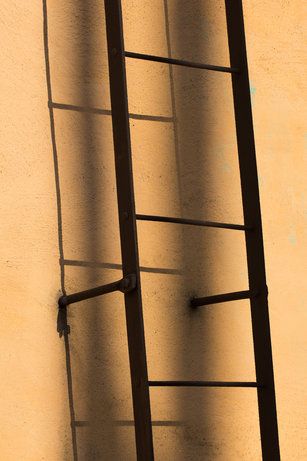JS2_2576.jpg