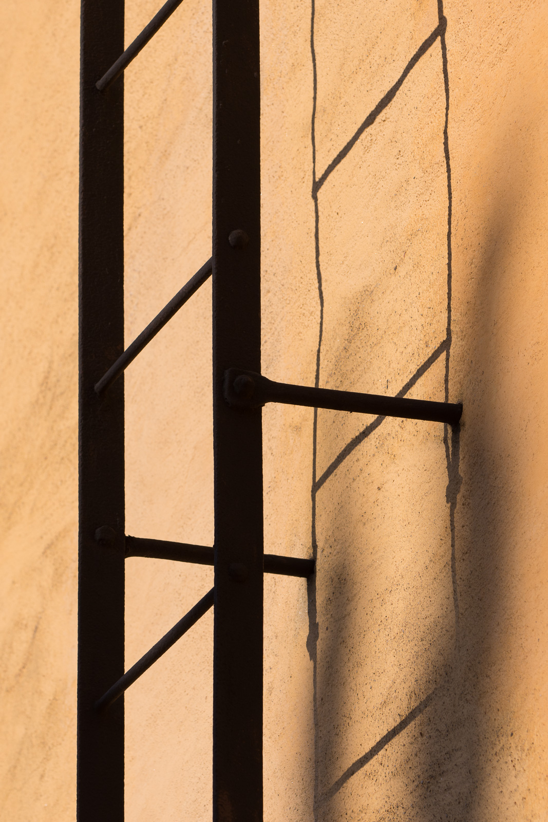 JS2_2569.jpg
