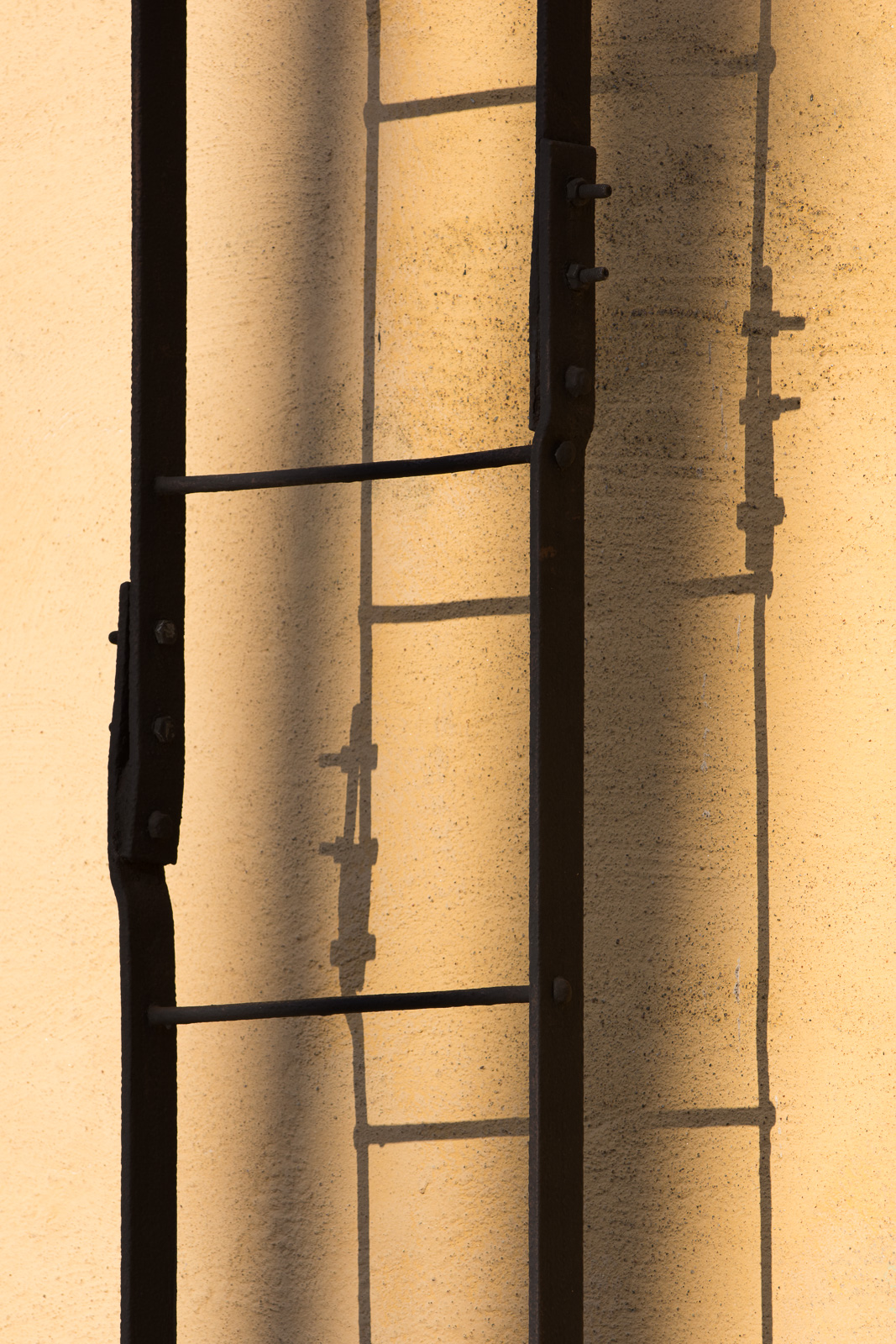 JS2_2566.jpg