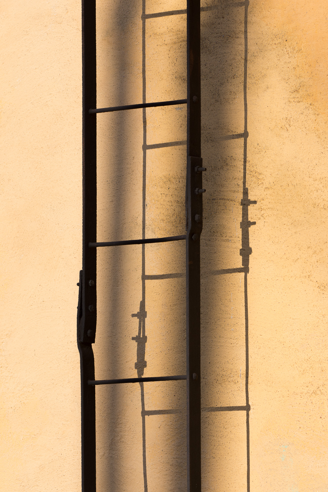 JS2_2564.jpg