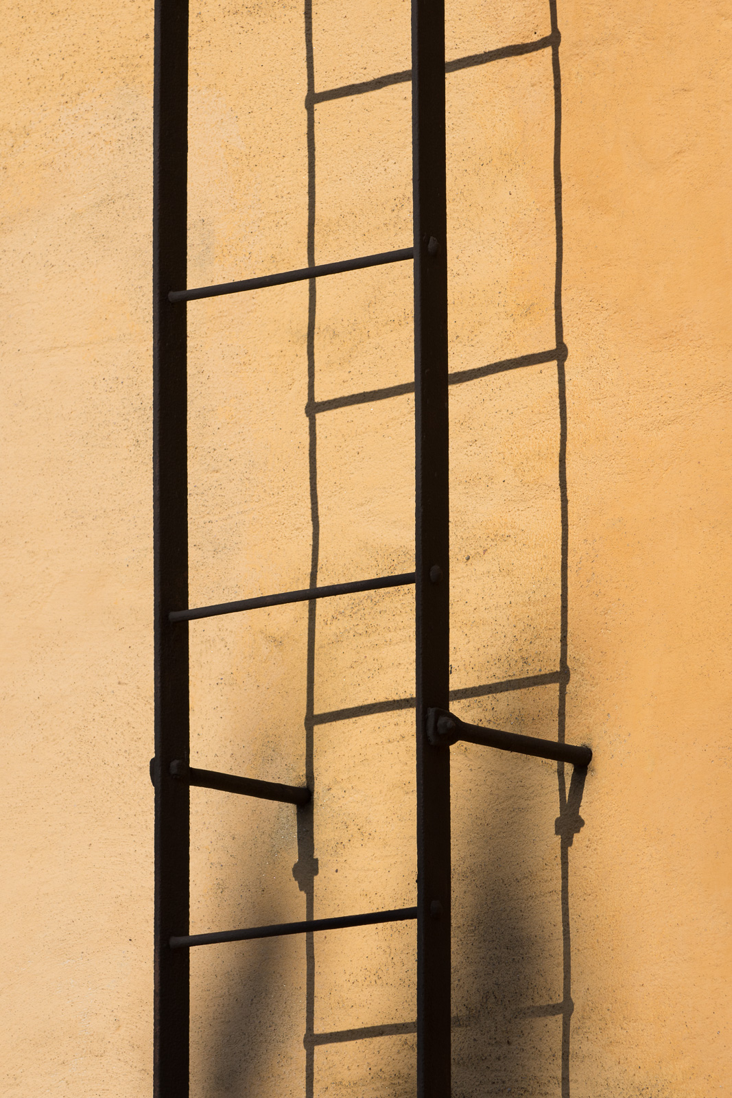 JS2_2562.jpg
