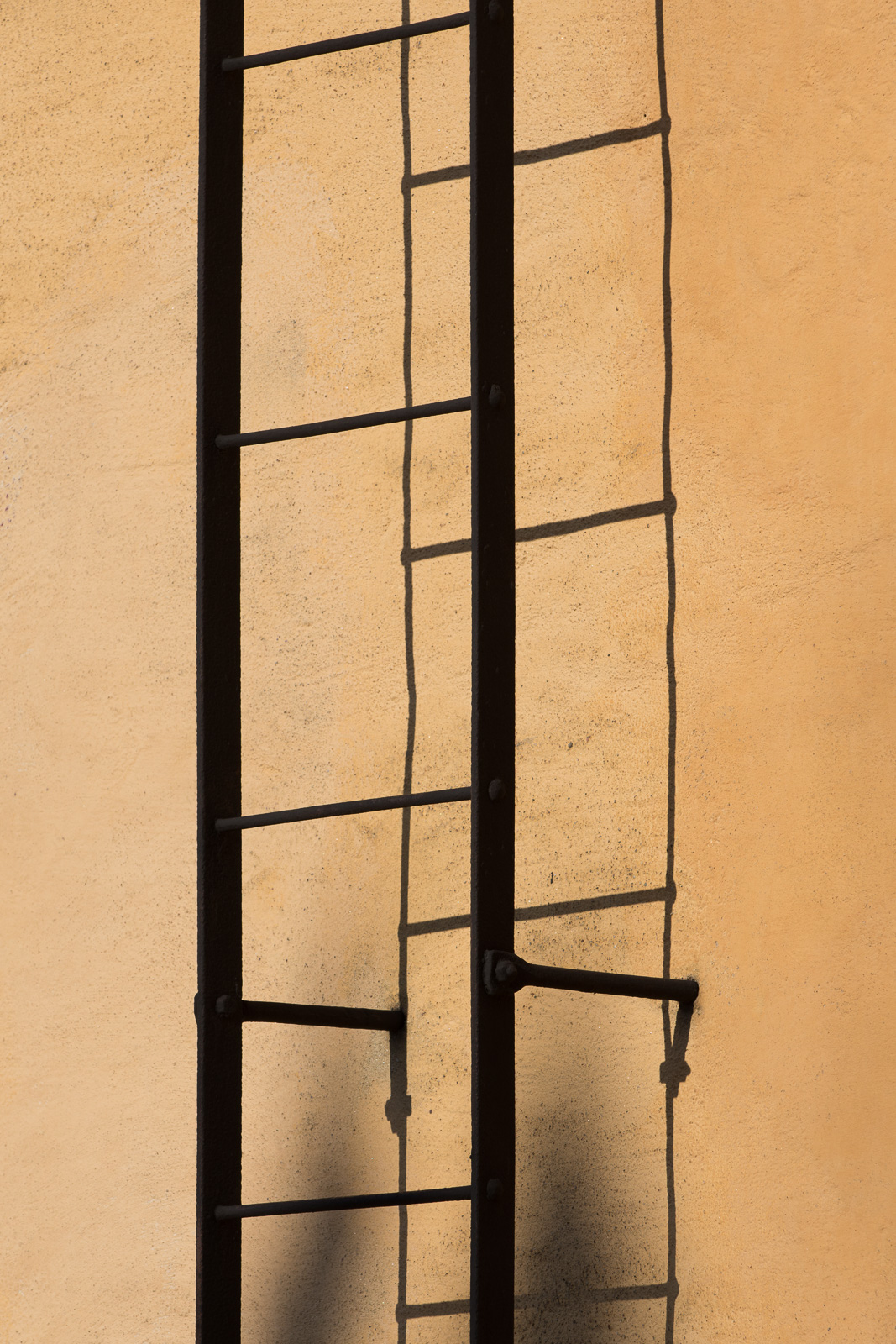 JS2_2559.jpg