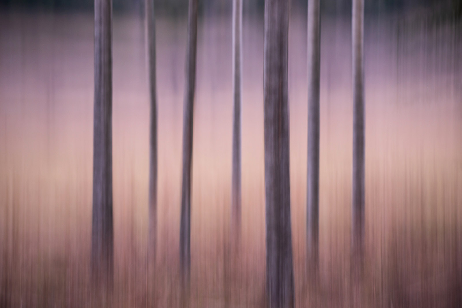 KJS_1221-3.jpg
