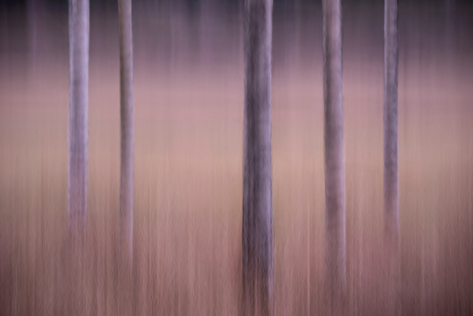 KJS_1317-3.jpg
