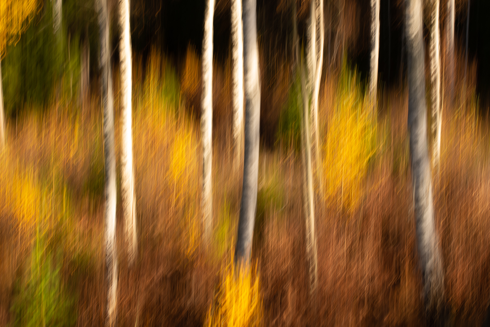 KJS_7086-2.jpg