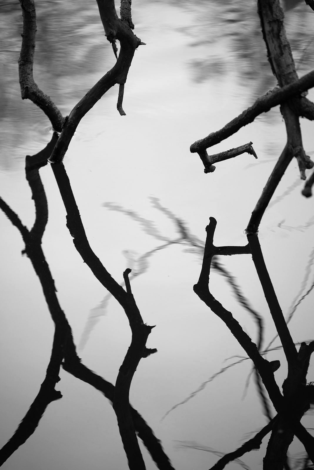 KJS_8072_BW.jpg
