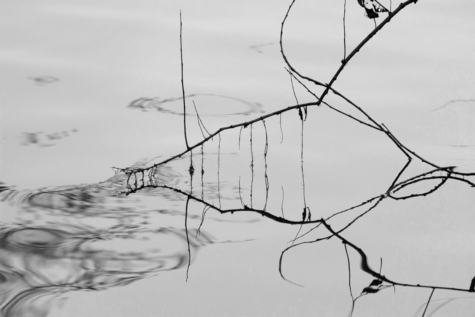 JS2_3106_bw.jpg