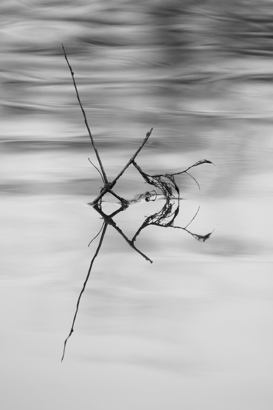 JS2_3648.jpg