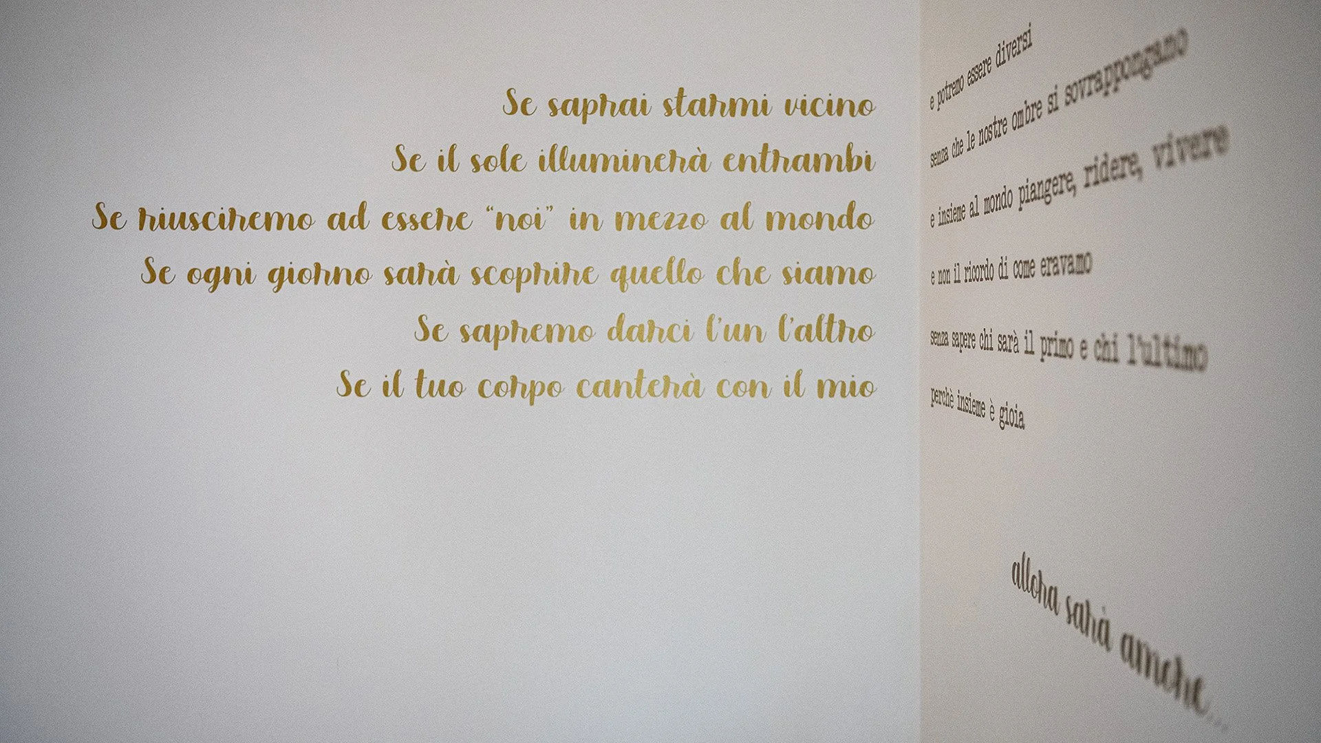 31 SUPLANU_031_WEB2 copia.jpg