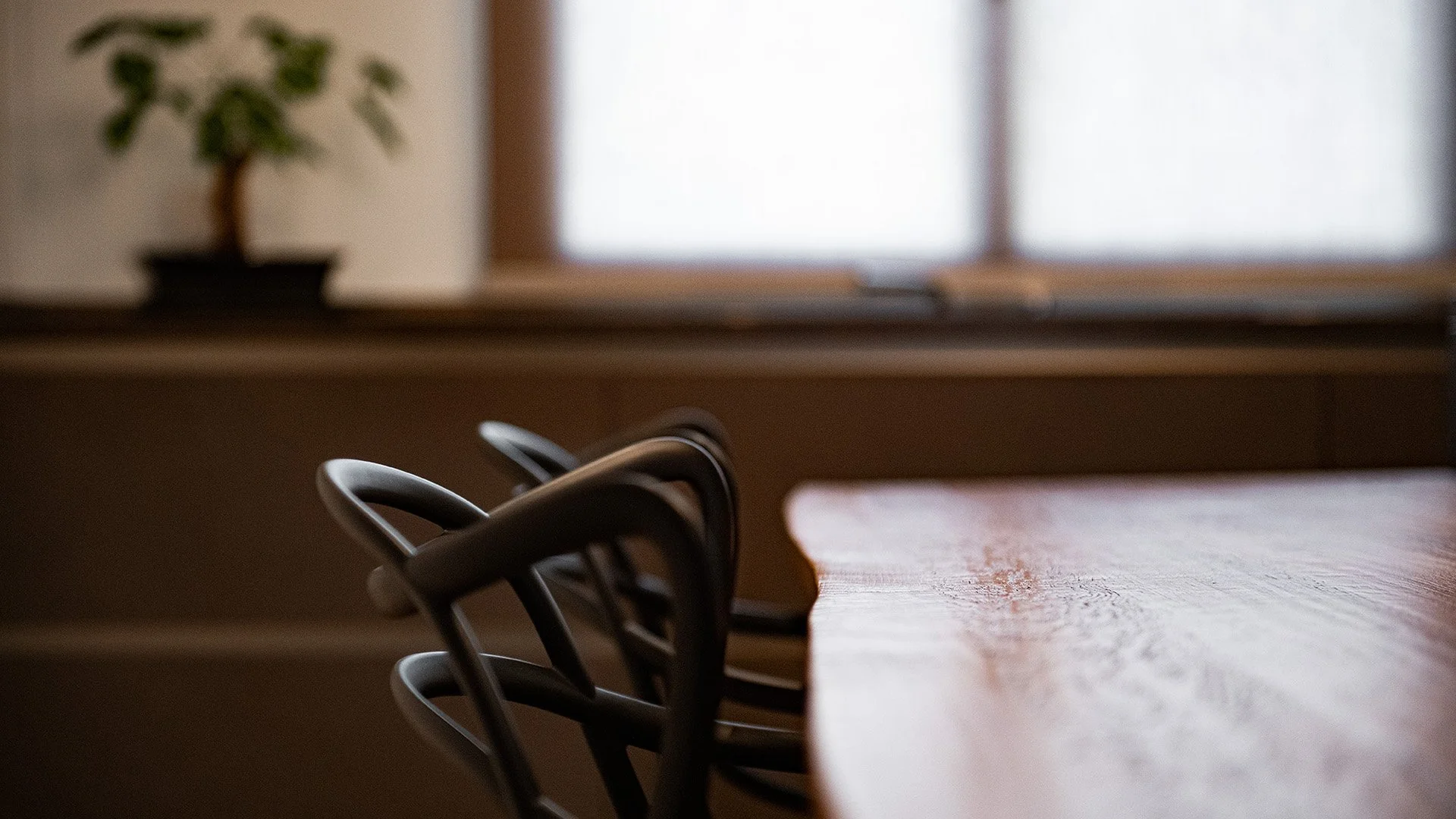 14 DOLIANOVA_010_WEB2.jpg