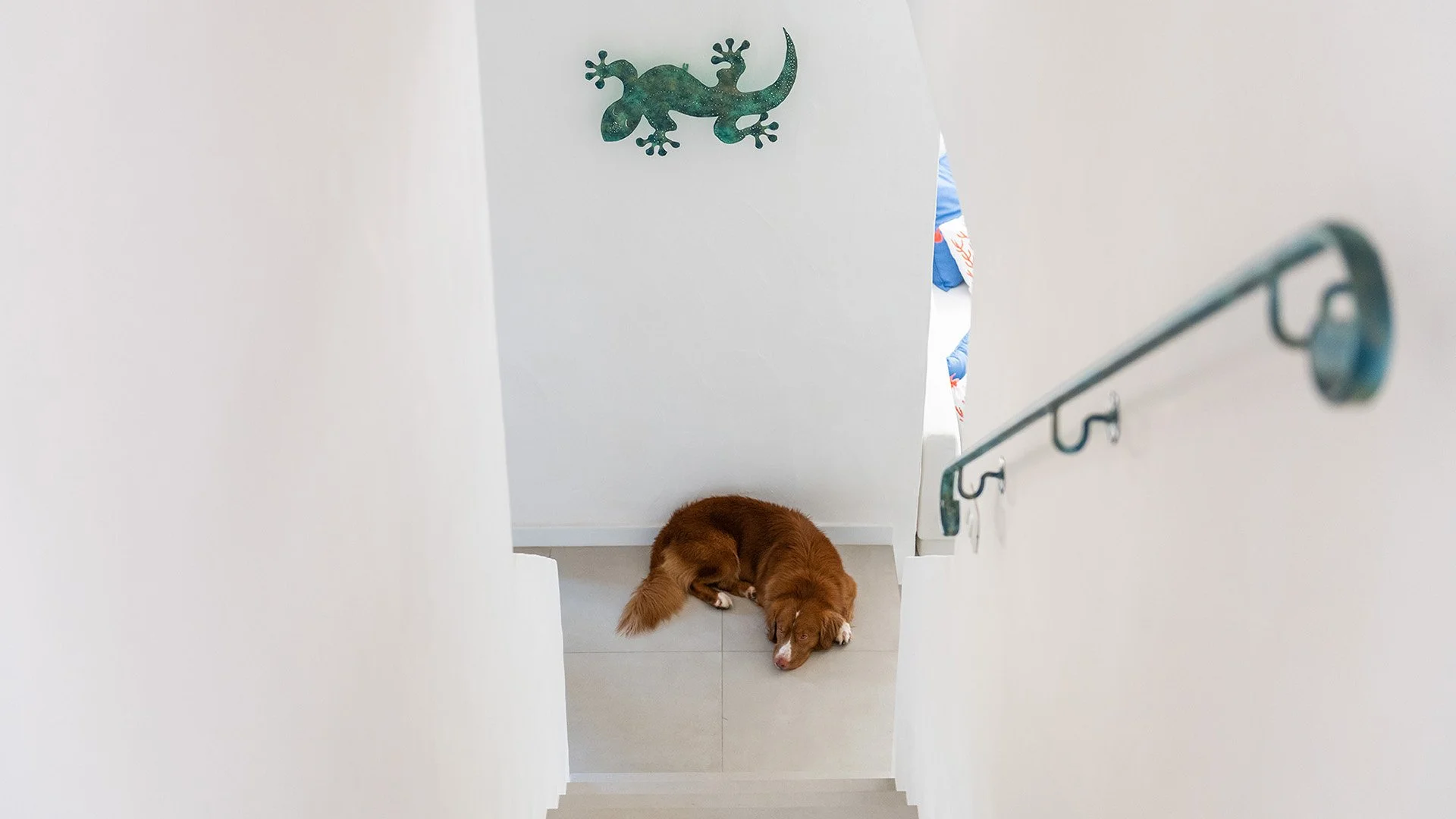 37 GEREMEAS_026_WEB2.jpg