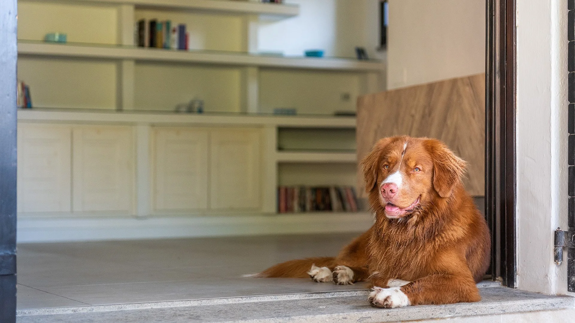 8 GEREMEAS_019_WEB2.jpg